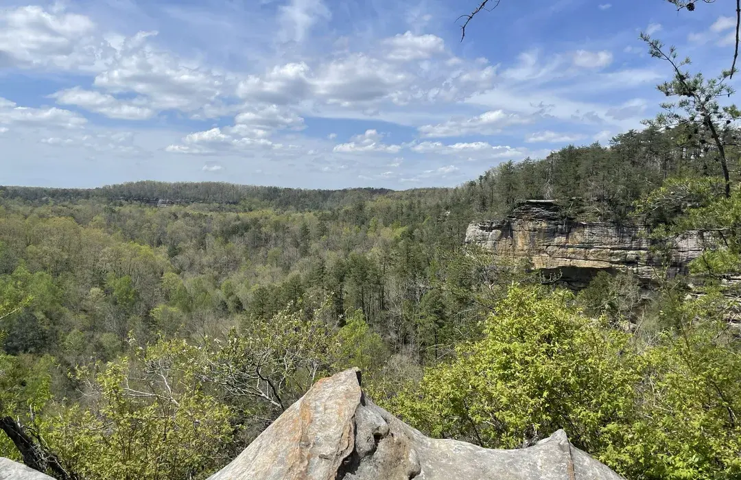 Rock overlook across Pickett State Forest