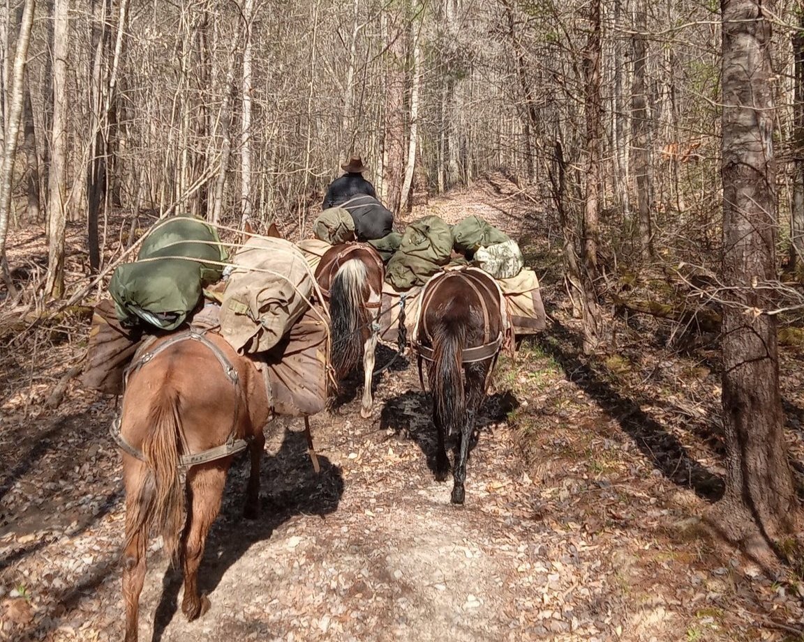 Guided horseback ride with Southeast Pack Trips