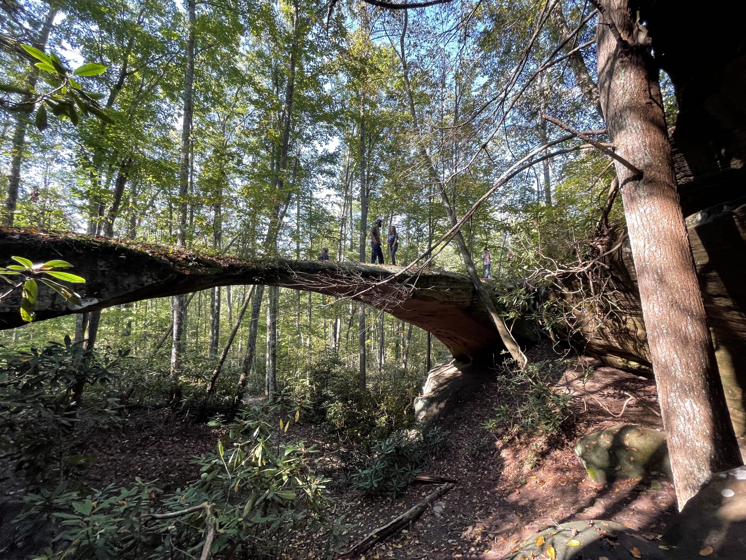 Natural sandstone arch along a wooded hiking trail